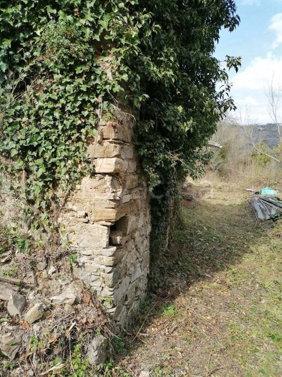 terreno agricolo in vendita a Torchiara