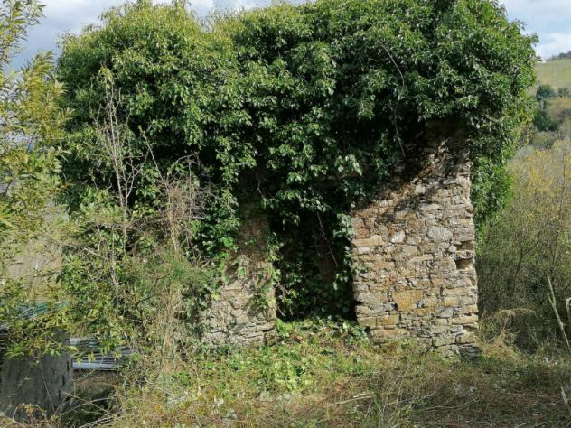 terreno agricolo in vendita a Torchiara