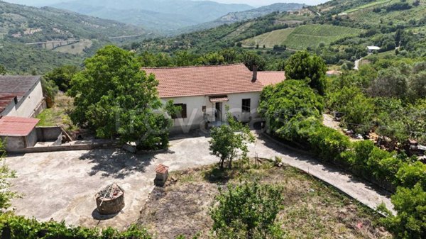 casa indipendente in vendita a Torchiara