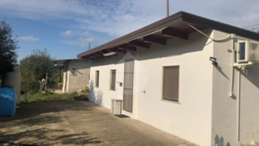 terreno agricolo in vendita a Torchiara
