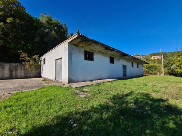 terreno agricolo in vendita a Torchiara
