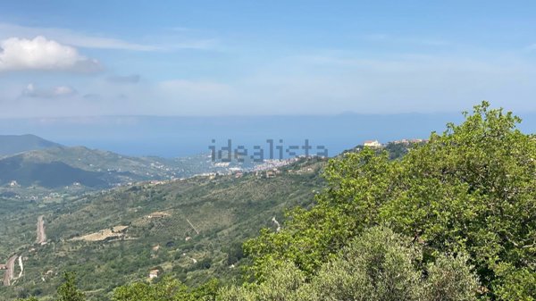 appartamento in vendita a Torchiara