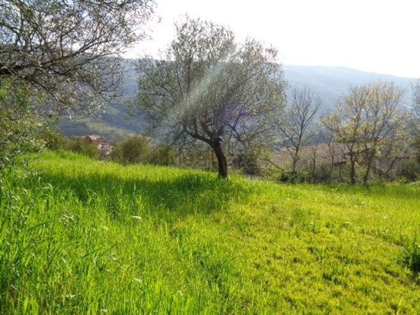 casa indipendente in vendita a Torchiara