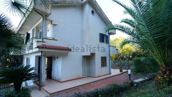 esavano in vendita a Torchiara