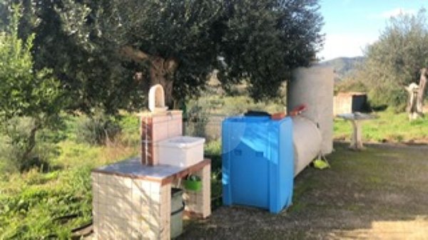 terreno agricolo in vendita a Torchiara