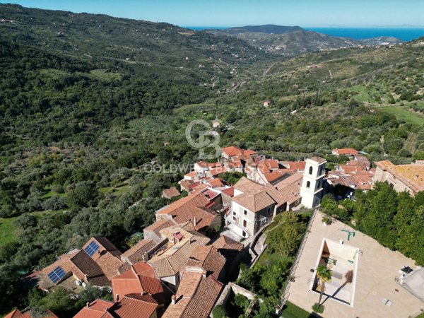 pentavano in vendita a Torchiara in zona Copersito