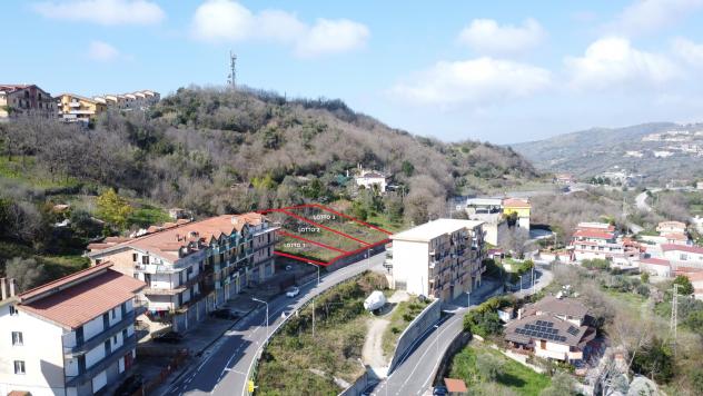 terreno agricolo in vendita a Torchiara