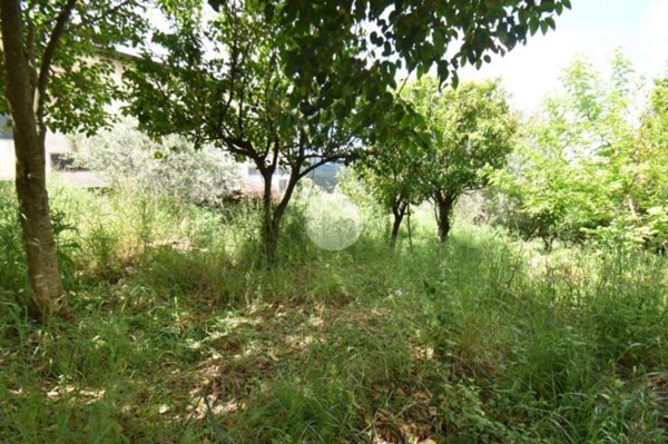 casa indipendente in vendita a Torchiara in zona Copersito