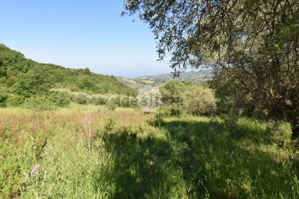 terreno agricolo in vendita a Torchiara