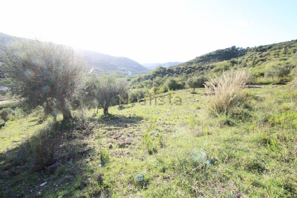 terreno in vendita a Torchiara