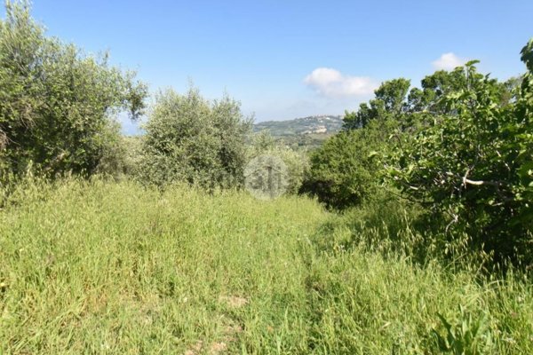 terreno agricolo in vendita a Torchiara in zona Copersito