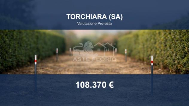 terreno agricolo in vendita a Torchiara
