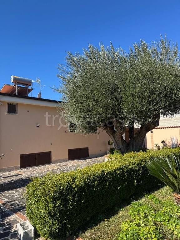 casa indipendente in vendita a Torre Orsaia