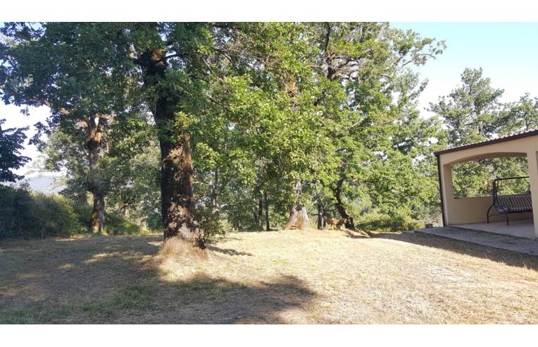 casa indipendente in vendita a Torre Orsaia