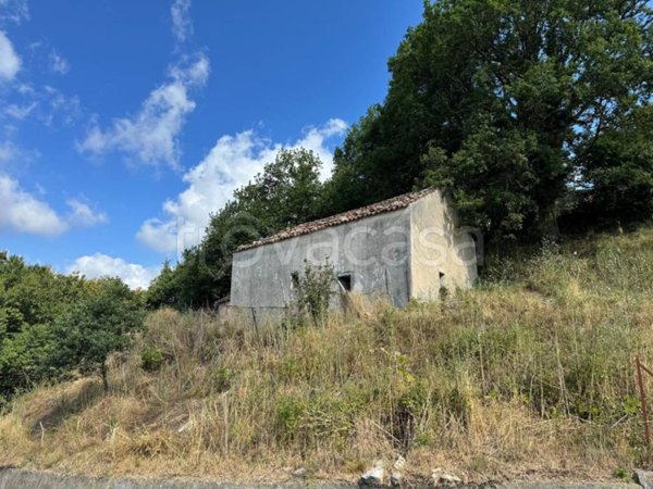 casa indipendente in vendita a Tortorella