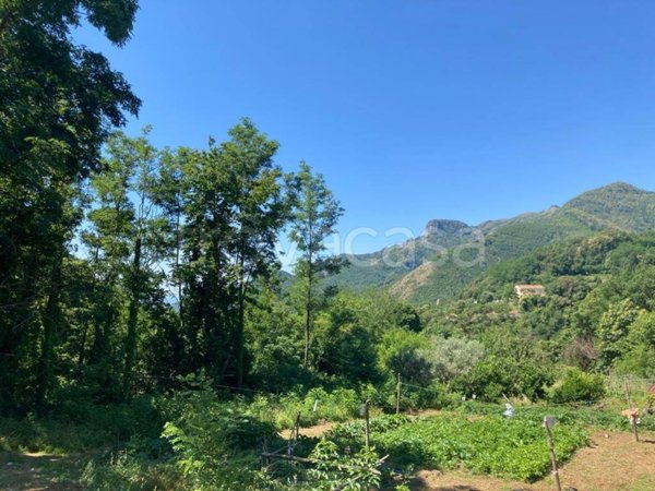 appartamento in vendita a Tramonti