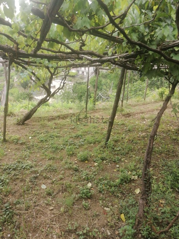 casale in vendita a Tramonti