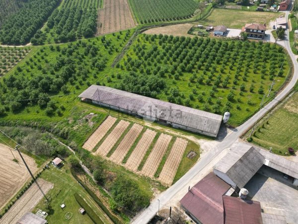 terreno agricolo in vendita a Corneliano d'Alba in zona Migliero
