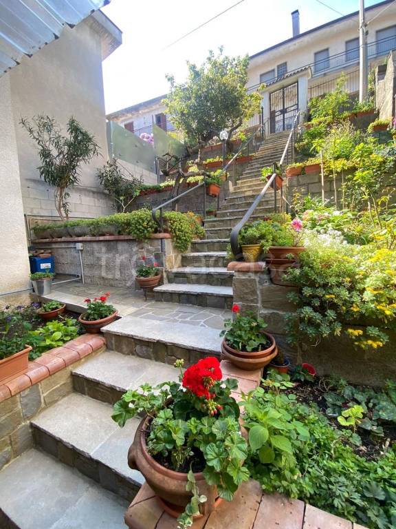 casa indipendente in vendita a Trentinara