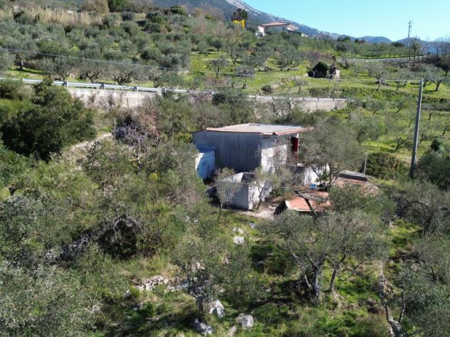 negozio in vendita a Trentinara