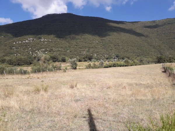 terreno agricolo in vendita a Trentinara