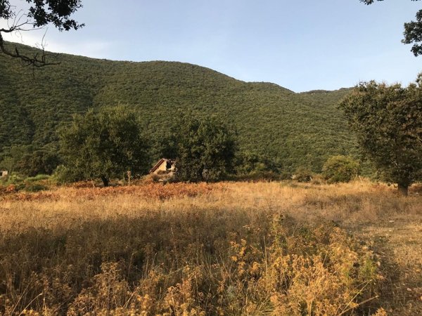 appartamento in vendita a Trentinara