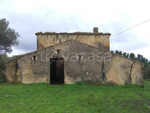 terreno agricolo in vendita a Vallo della Lucania