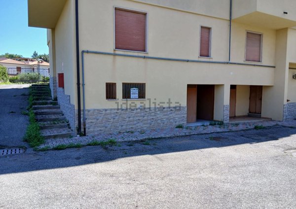 box auto in vendita a Vallo della Lucania