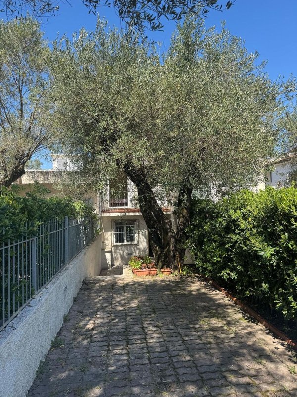 casa indipendente in vendita a Vibonati in zona Villammare