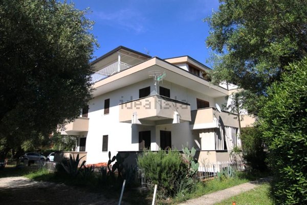 immagine annuncio 0 di 1