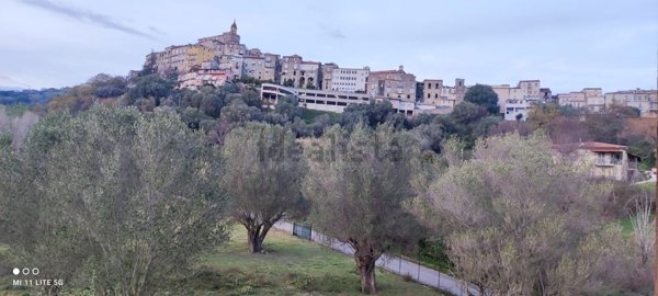 appartamento in vendita a Vibonati