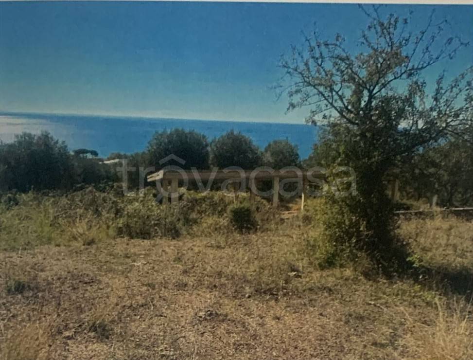 terreno agricolo in vendita a Vibonati