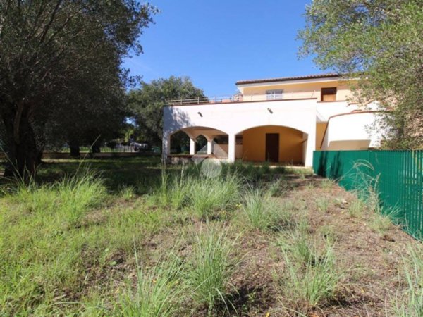 casa indipendente in vendita a Vibonati in zona Villammare