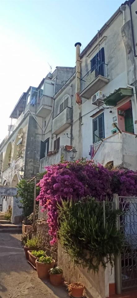 appartamento in vendita a Vietri sul Mare in zona Benincasa