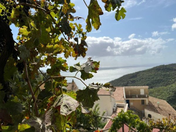 appartamento in vendita a Vietri sul Mare in zona Albori