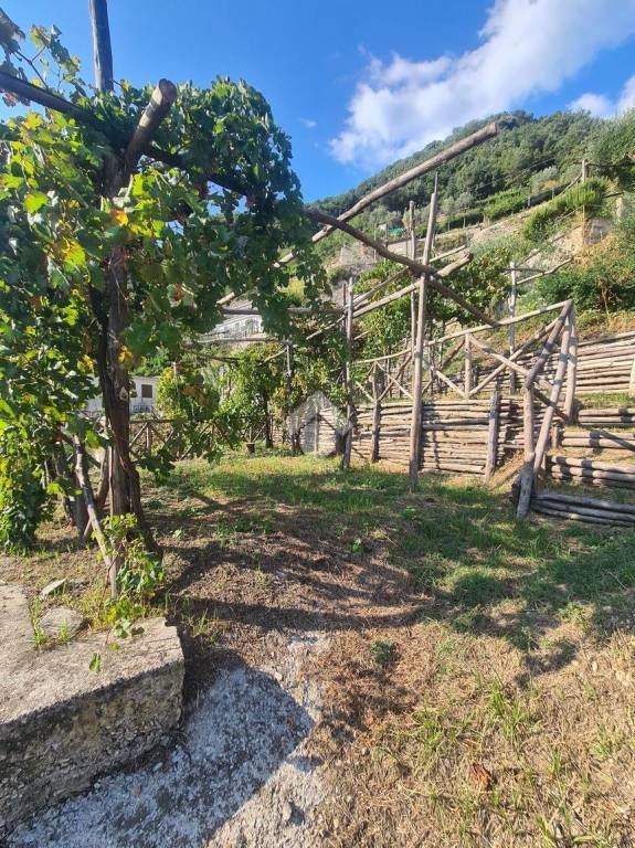 appartamento in vendita a Vietri sul Mare in zona Albori