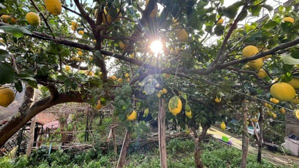 casa indipendente in vendita a Vietri sul Mare in zona Dragonea