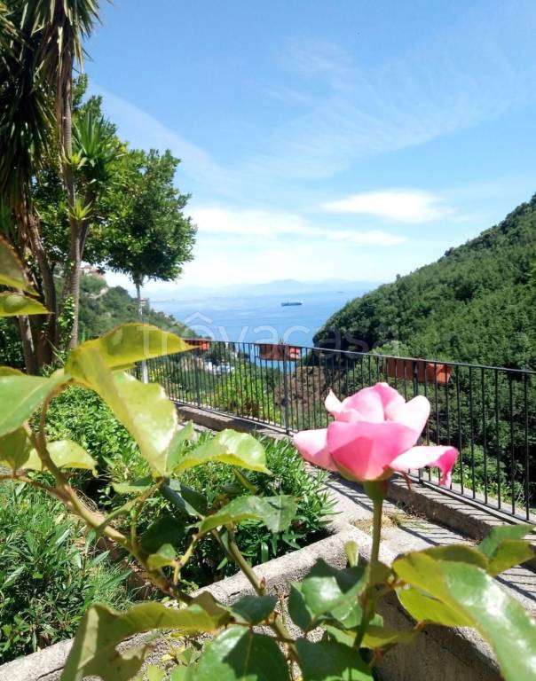 terreno agricolo in vendita a Vietri sul Mare in zona Marina