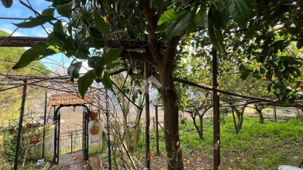 casa indipendente in vendita a Vietri sul Mare in zona Dragonea
