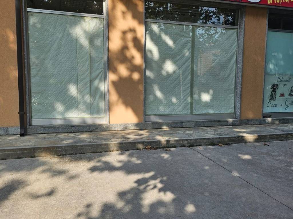 immagine annuncio 0 di 1