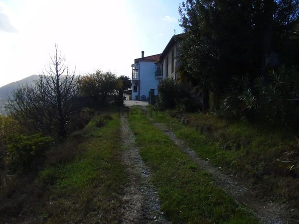 esavano in vendita a Cortemilia