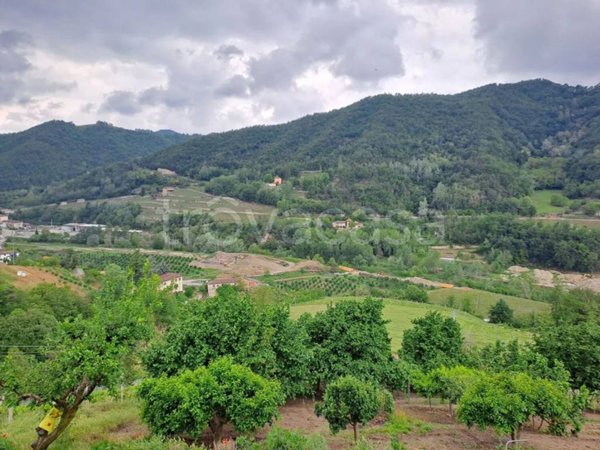 terreno agricolo in vendita a Cossano Belbo
