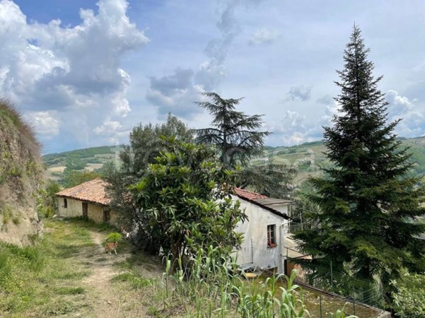 terreno agricolo in vendita a Cossano Belbo