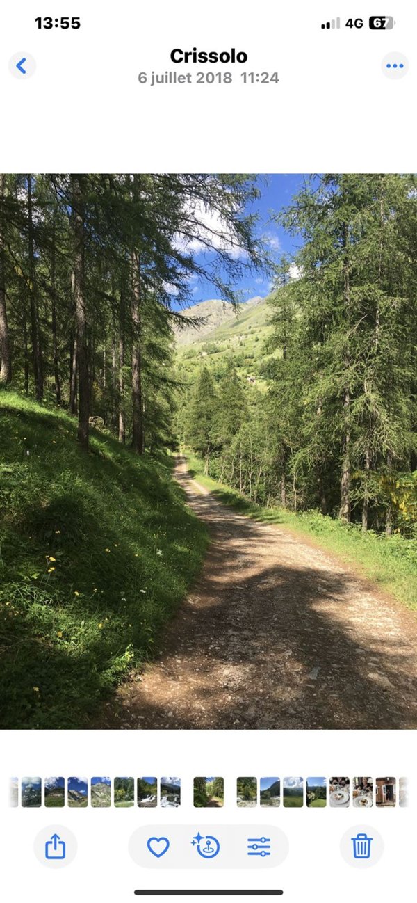 esavano in vendita a Crissolo