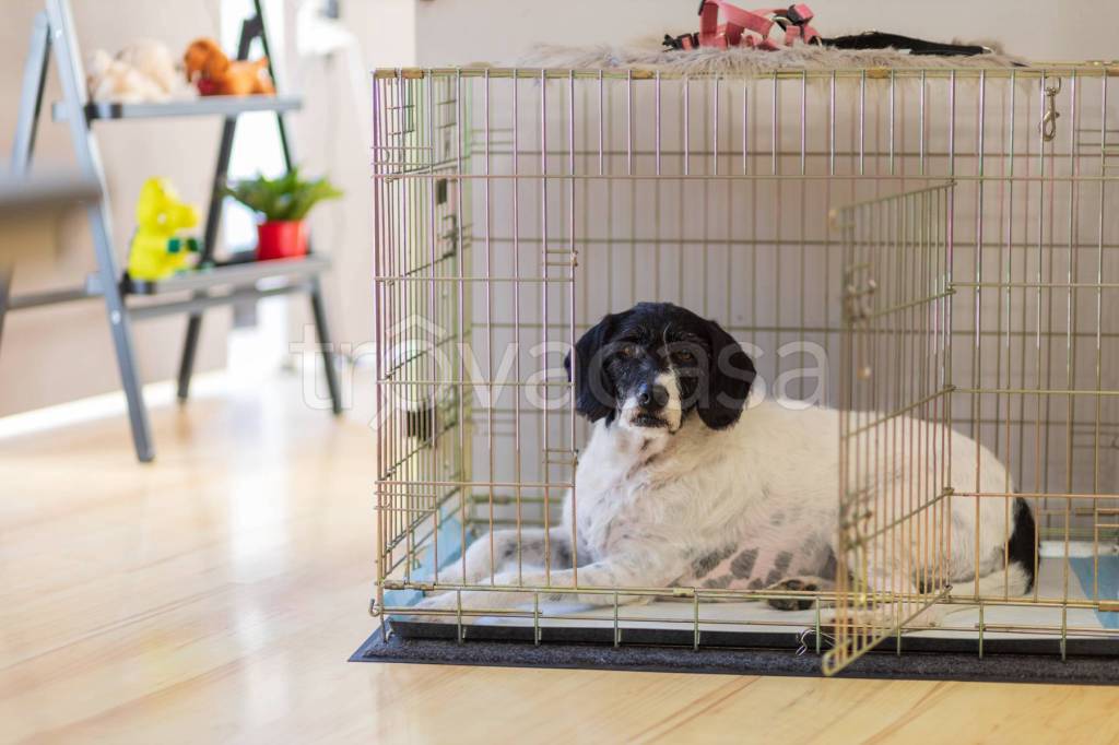 negozio in vendita a Cuneo in zona Centro Città