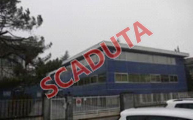 pentavano in vendita a Cuneo