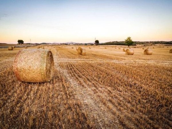 terreno agricolo in vendita a Cuneo in zona San Pietro del Gallo