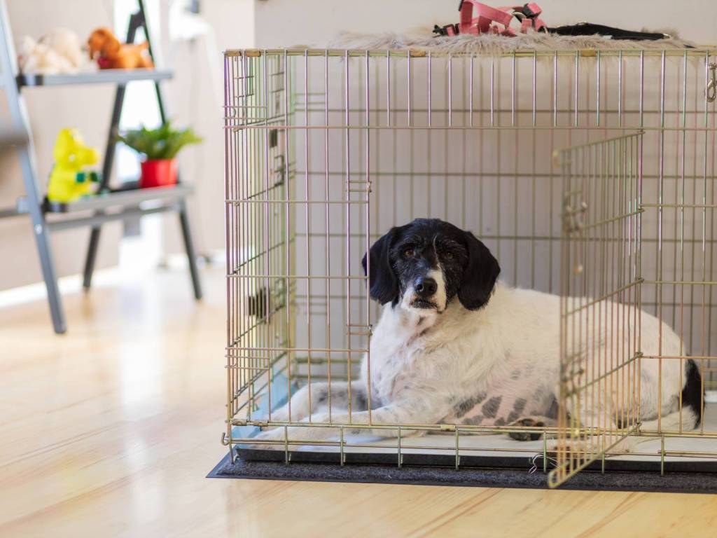 negozio in vendita a Cuneo in zona Centro Città