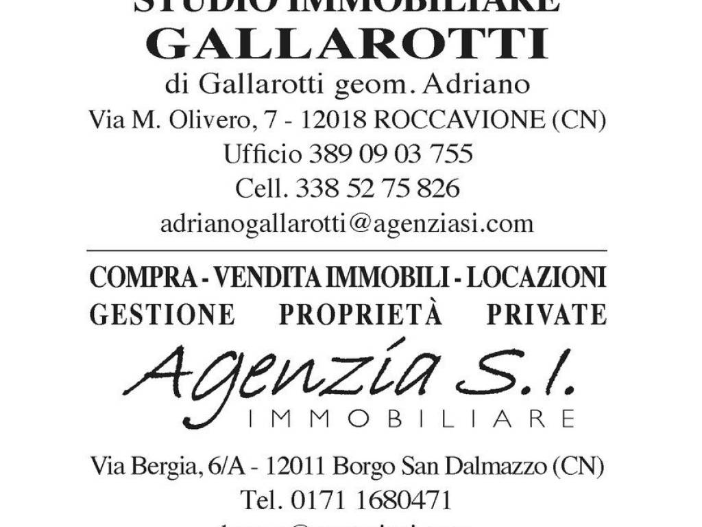 terreno agricolo in vendita a Demonte