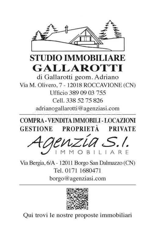 terreno agricolo in vendita a Demonte